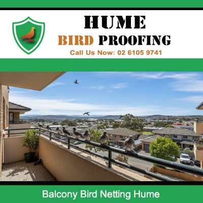 Bird infested apartment balcony in Hume requiring urgent professional bird netting installation