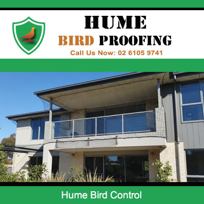 Bird control protection for stylish Hume property featuring upper level deck and large windows