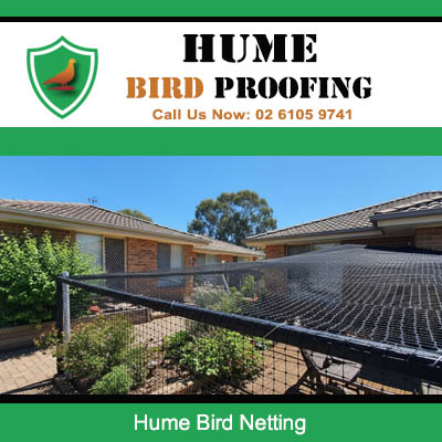 Professional bird netting installed over garden area in Hume protecting plants and outdoor space