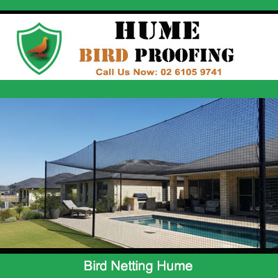 Large scale bird netting protection for Hume home covering swimming pool and alfresco space