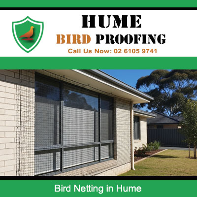 Hume Bird Netting Solutions | Eco-Friendly Bird Control