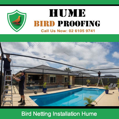 Bird netting installation over swimming pool and outdoor area at Hume residential property
