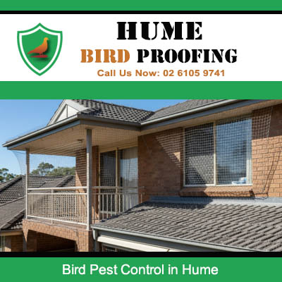 Bird pest control solutions protecting outdoor area and roof of Hume home