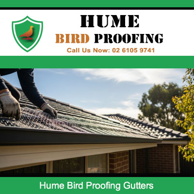 Professional gutter bird proofing in Hume preventing birds from nesting in roofline areas