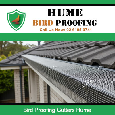 Expert gutter bird exclusion system on Hume property blocking pest birds from roof access points