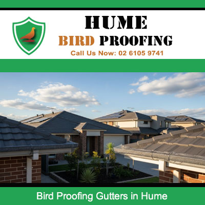 Multiple properties in Hume neighborhood with professional bird proofing gutters