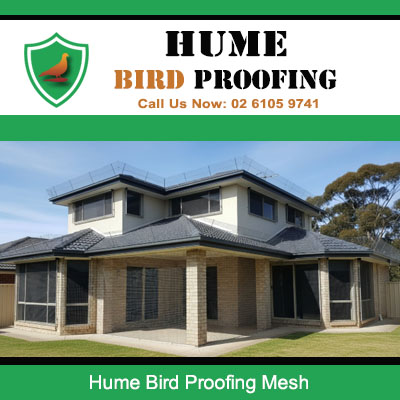 Contemporary house in Hume area with expert bird proofing mesh to prevent nesting problems
