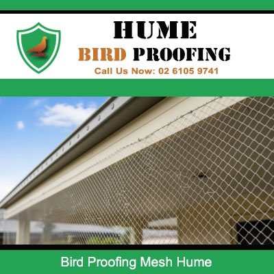 Expert bird control mesh installation on Hume property blocking access to roof cavities and nesting areas