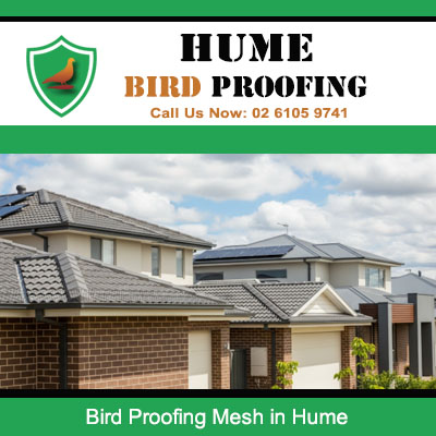 Residential homes in Hume neighborhood with bird proofing mesh for roof and eaves protection