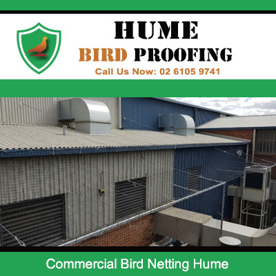 Commercial bird netting installed on industrial warehouse roofline in Hume preventing bird access