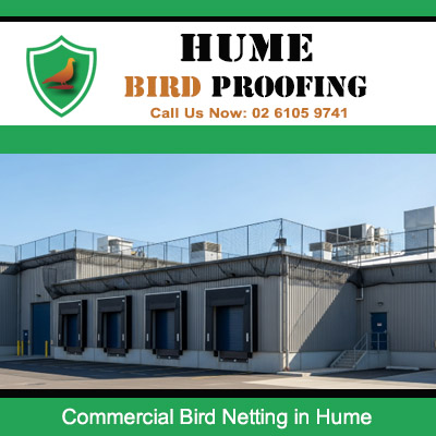 Commercial bird netting installed on industrial facility loading docks in Hume area