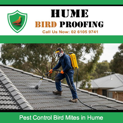 Professional technician treating bird mites on residential roof in Hume after bird infestation